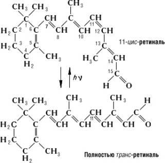 Большая Советская Энциклопедия (РО) - i-images-139787005.jpg