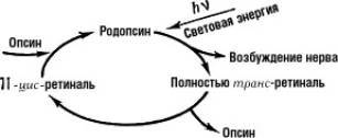 Большая Советская Энциклопедия (РО) - i-images-185055895.jpg