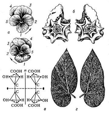 Большая Советская Энциклопедия (СИ) - i009-001-205146965.jpg