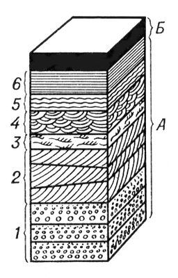 Большая Советская Энциклопедия (СЛ) - i009-001-235844180.jpg