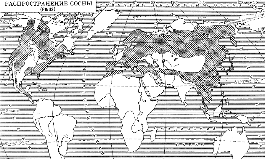 Большая Советская Энциклопедия (СО) - i009-001-232353470.jpg