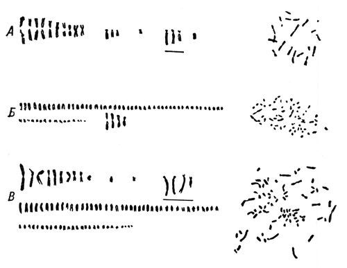 Большая Советская Энциклопедия (СО) - i010-001-246643432.jpg