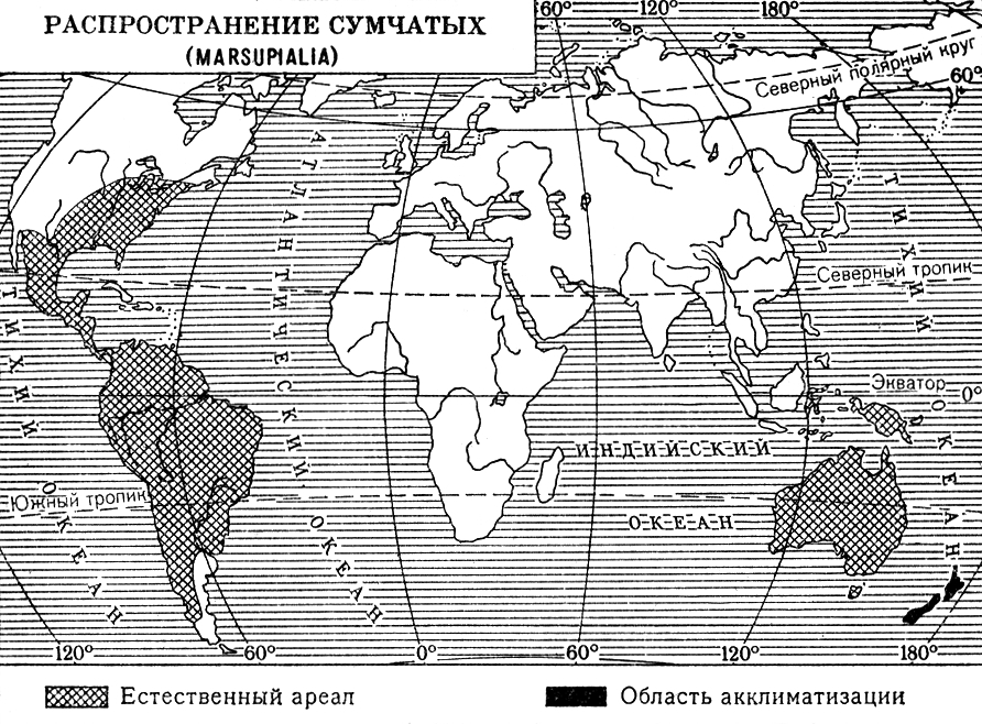 Большая Советская Энциклопедия (СУ) - i010-001-284409457.jpg