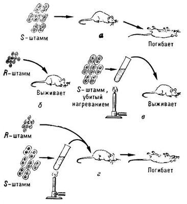 Большая Советская Энциклопедия (ТР) - i009-001-233332836.jpg