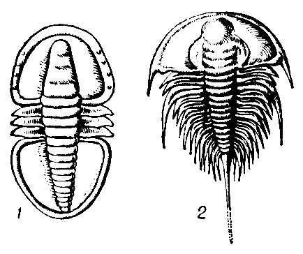 Большая Советская Энциклопедия (ТР) - i010-001-253576224.jpg