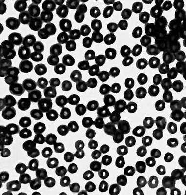 Большая Советская Энциклопедия (УЛ) - i010-001-266604751.jpg