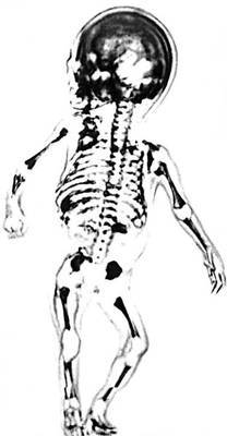 Большая Советская Энциклопедия (УЛ) - i010-001-273797225.jpg