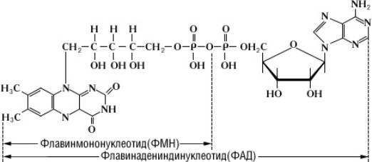 Большая Советская Энциклопедия (ФЛ) - i-images-141722707.jpg