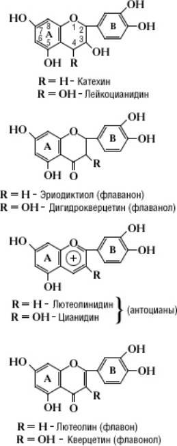 Большая Советская Энциклопедия (ФЛ) - i-images-195848599.jpg