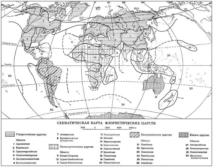 Большая Советская Энциклопедия (ФЛ) - i009-001-215966590.jpg