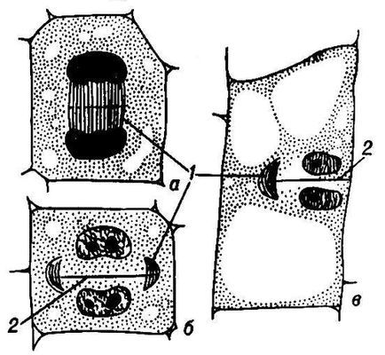 Большая Советская Энциклопедия (ФР) - i010-001-245655320.jpg