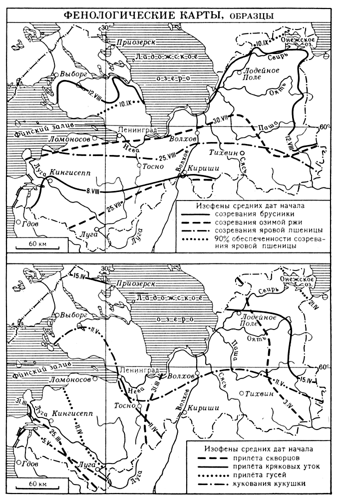 Большая Советская Энциклопедия (ФЕ) - i008-pictures-001-289983433.jpg