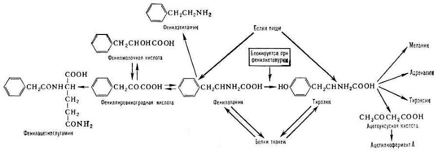 Большая Советская Энциклопедия (ФЕ) - i009-001-228707380.jpg