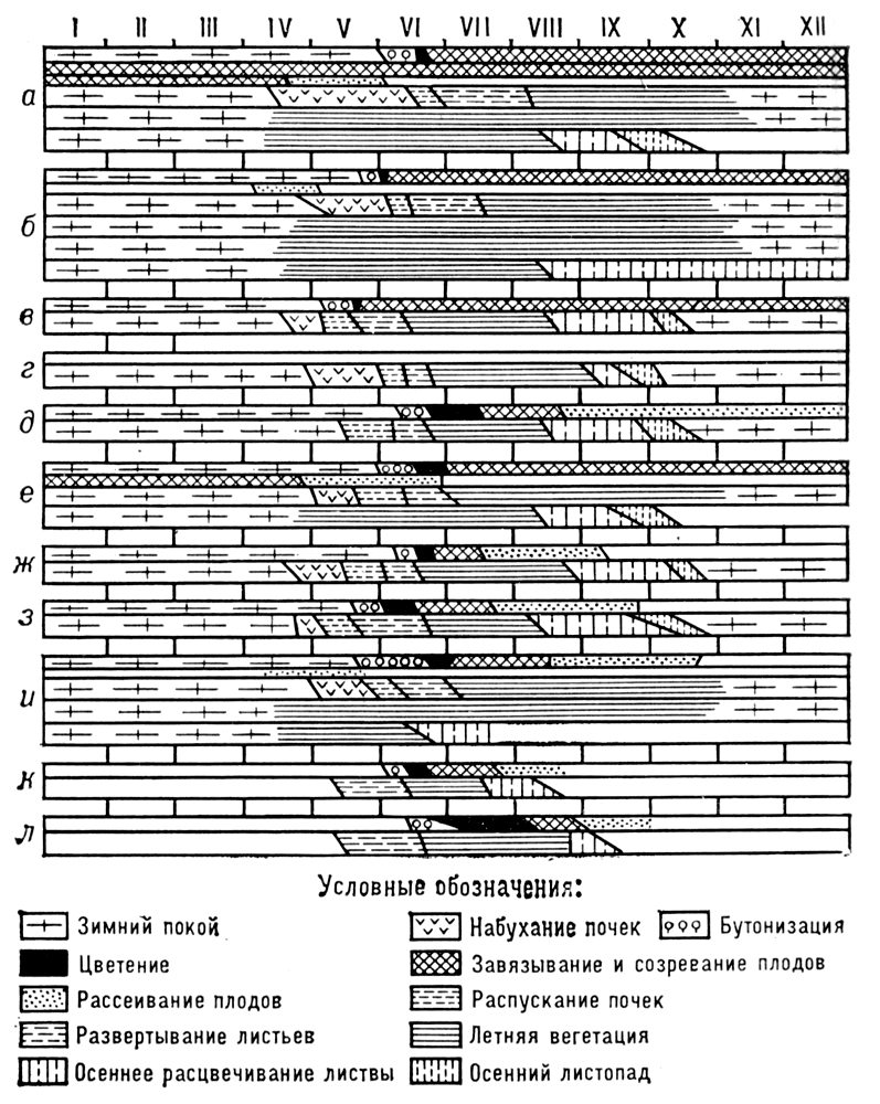 Большая Советская Энциклопедия (ФЕ) - i009-001-228737883.jpg