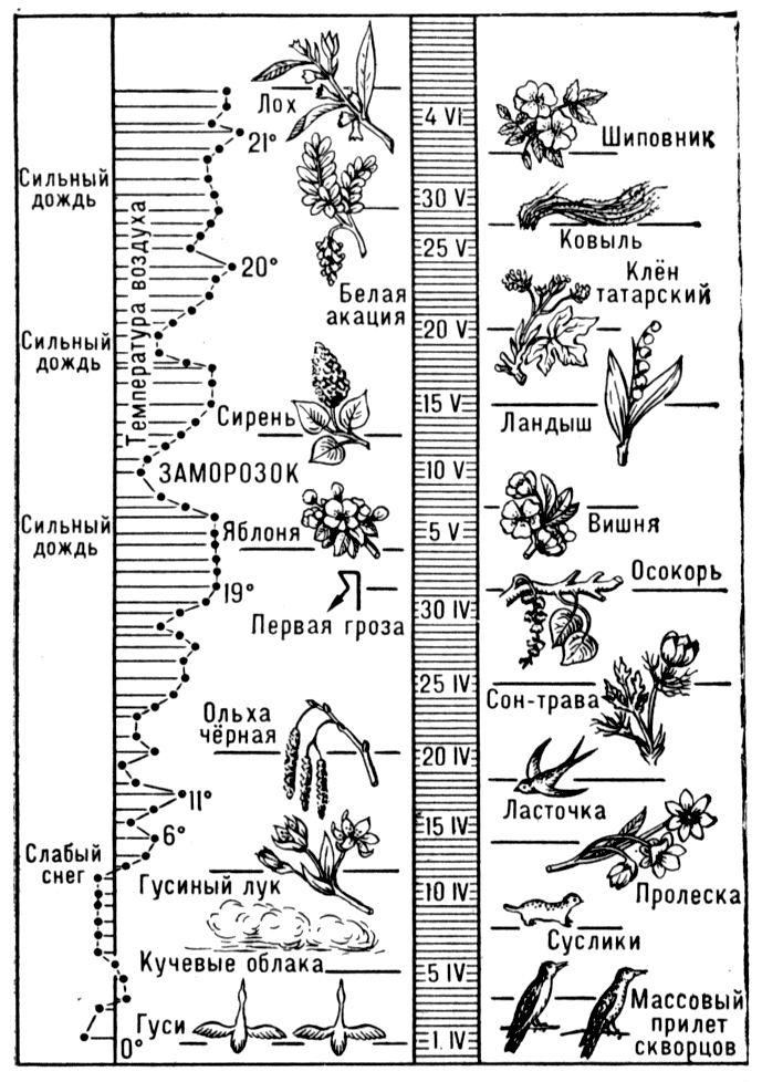 Большая Советская Энциклопедия (ФЕ) - i010-001-265262654.jpg