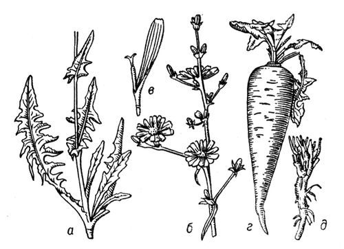 Большая Советская Энциклопедия (ЦИ) - i010-001-280144687.jpg