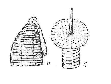 Большая Советская Энциклопедия (ХО) - i010-001-257386495.jpg