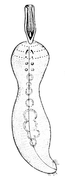 Большая Советская Энциклопедия (ЭХ) - i009-001-239300279.jpg