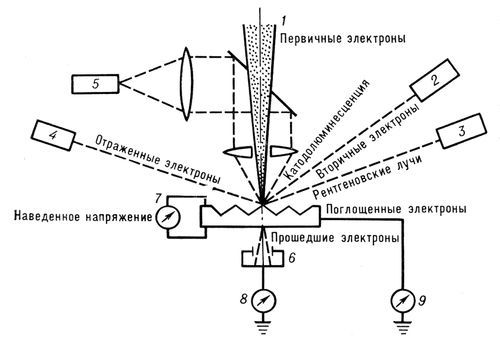 Большая Советская Энциклопедия (ЭЛ) - i009-001-203754294.jpg