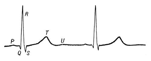 Большая Советская Энциклопедия (ЭЛ) - i010-001-273871856.jpg