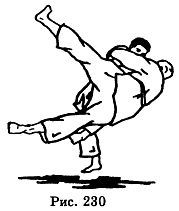 Боевое Дзю-до - _230.jpg