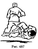 Боевое Дзю-до - _487.jpg