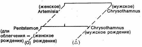 Первобытное мышление - picture017.png