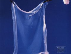 Журнал «Вокруг Света» №8 за 2003 год - any2fbimgloader12.jpeg