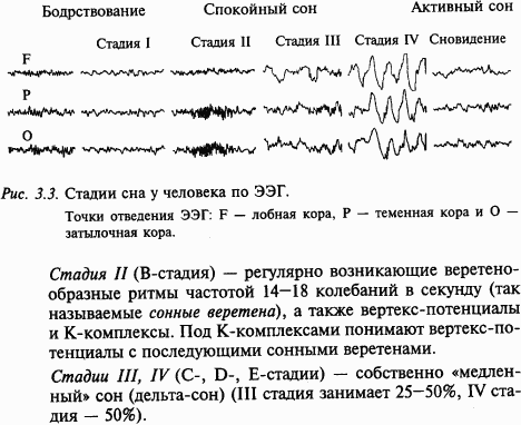 Основы нейрофизиологии - i_21.png