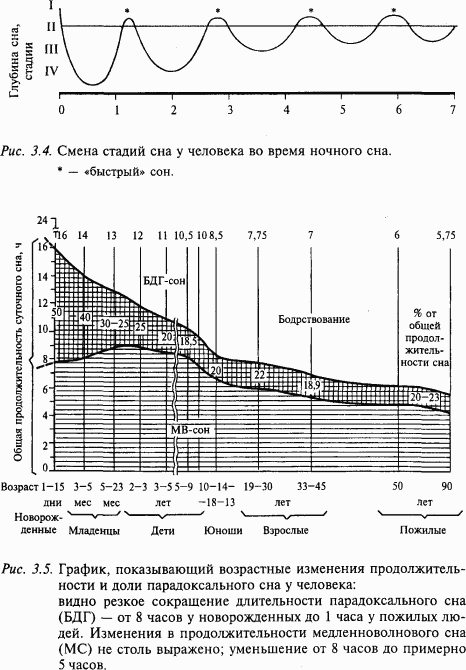 Основы нейрофизиологии - i_22.png