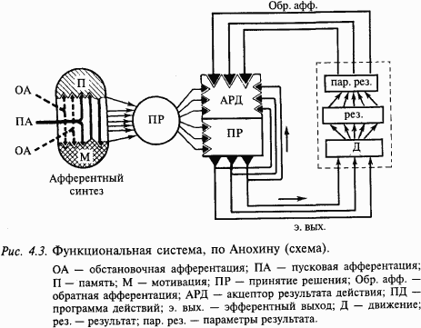 Основы нейрофизиологии - i_25.png