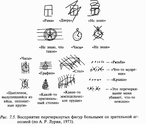 Основы нейрофизиологии - i_66.png