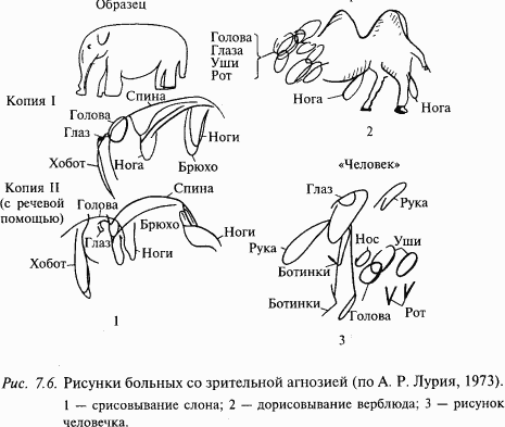 Основы нейрофизиологии - i_67.png