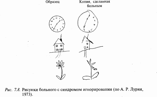 Основы нейрофизиологии - i_69.png