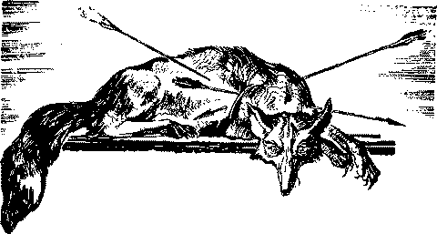 Сослан-богатырь, его друзья и враги - _17pre.png