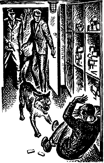 Фронт[РИСУНКИ    К. ШВЕЦА] - _.png_2