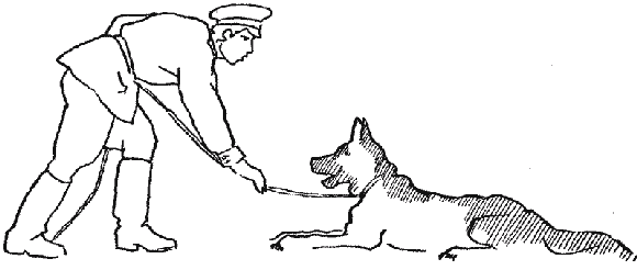 Дрессировка служебных собак - i_037.png
