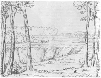 «Родного неба милый свет...» - i_131.jpg