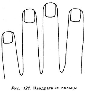 Полное руководство по хиромантии: Секреты чтения ладони - _120.jpg