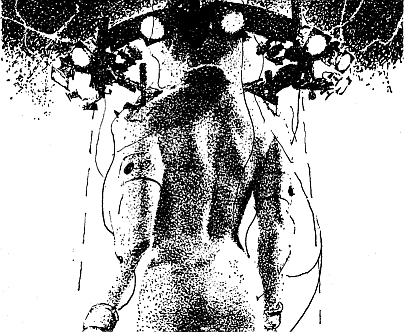 Година Бика - doc2fb_image_03000009.png