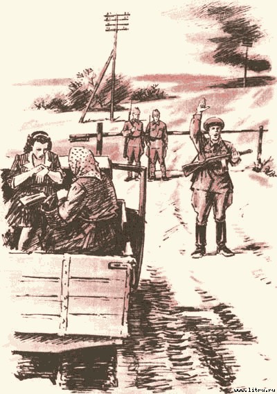 Дорога на Стрельну - any2fbimgloader17.jpg