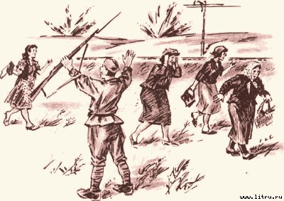 Дорога на Стрельну - any2fbimgloader18.jpg