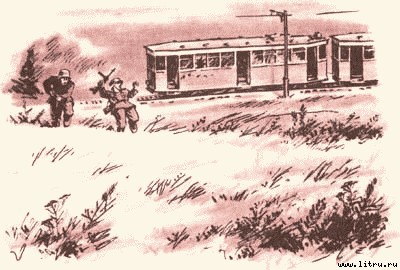 Дорога на Стрельну - any2fbimgloader22.jpg