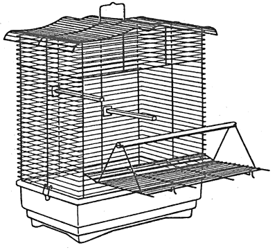Попугаи от А до Я - i_021.png