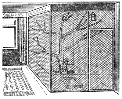 Попугаи от А до Я - i_025.png