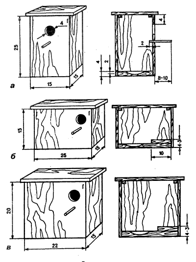 Попугаи от А до Я - i_031.png