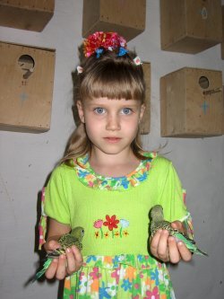 Попугаи от А до Я - i_036.jpg