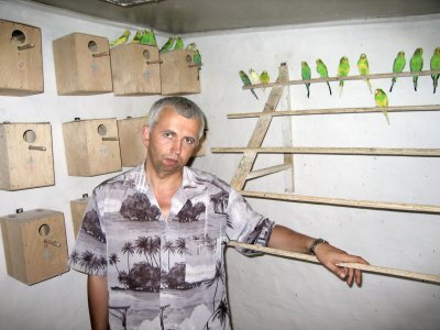 Попугаи от А до Я - i_039.jpg