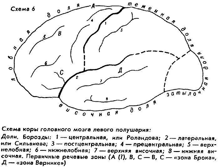 О начале человеческой истории (Проблемы палеопсихологии) - img_5.png