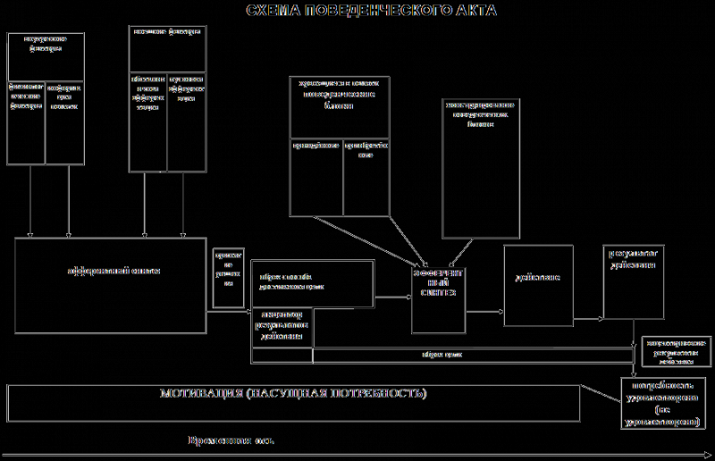 Работа-игра (дрессировка собак — детекторов запахов) - i_003.png